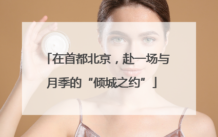 在首都北京，赴一场与月季的“倾城之约”