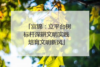 富锦：立平台树标杆深耕文明实践培育文明新风