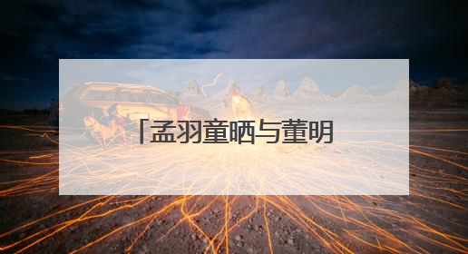孟羽童晒与董明珠合照：感念曾经，未来珍重
