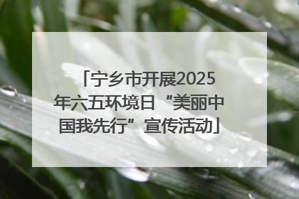 宁乡市开展2025年六五环境日“美丽中国我先行”宣传活动