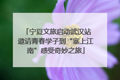 宁夏文旅启动武汉站 邀请青春学子到“塞上江南”感受奇妙之旅