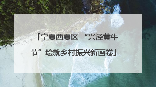 宁夏西夏区 “兴泾黄牛节”绘就乡村振兴新画卷