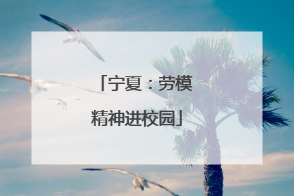 宁夏：劳模精神进校园