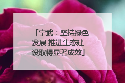 宁武：坚持绿色发展 推进生态建设取得显著成效