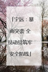 宁远：暴雨突袭 全员动员筑牢安全防线