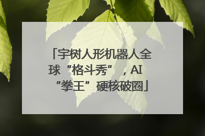 宇树人形机器人全球“格斗秀”，AI“拳王”硬核破圈