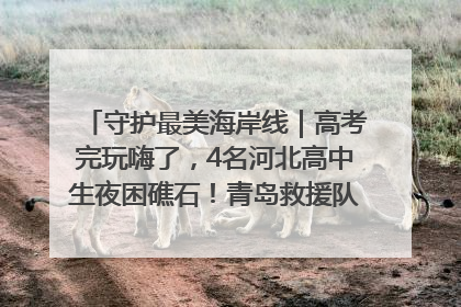 守护最美海岸线｜高考完玩嗨了，4名河北高中生夜困礁石！青岛救援队火速出动救上岸