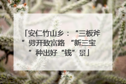 安仁竹山乡：“三板斧”劈开致富路 “新三宝”种出好“钱”景