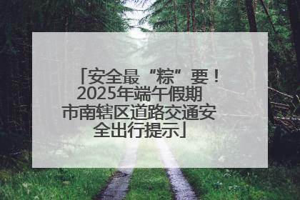 安全最“粽”要！2025年端午假期市南辖区道路交通安全出行提示