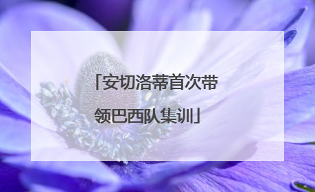 安切洛蒂首次带领巴西队集训