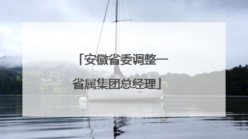 安徽省委调整一省属集团总经理