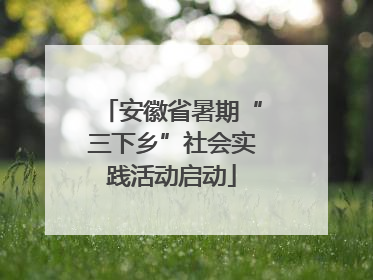 安徽省暑期“三下乡”社会实践活动启动