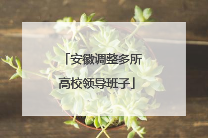 安徽调整多所高校领导班子