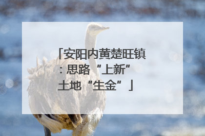 安阳内黄楚旺镇：思路“上新” 土地“生金”