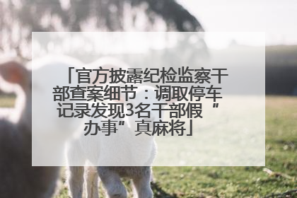官方披露纪检监察干部查案细节：调取停车记录发现3名干部假“办事”真麻将