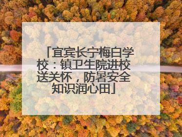 宜宾长宁梅白学校：镇卫生院进校送关怀，防暑安全知识润心田
