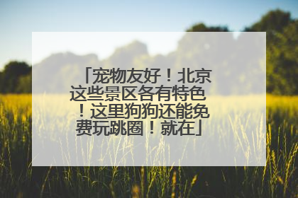 宠物友好！北京这些景区各有特色！这里狗狗还能免费玩跳圈！就在