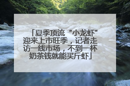 夏季顶流“小龙虾”迎来上市旺季，记者走访一线市场，不到一杯奶茶钱就能买斤虾