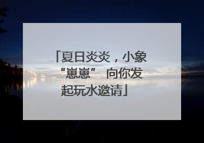 夏日炎炎，小象“崽崽” 向你发起玩水邀请