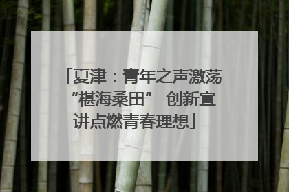 夏津：青年之声激荡“椹海桑田” 创新宣讲点燃青春理想