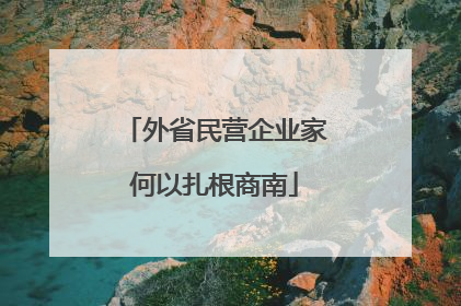 外省民营企业家何以扎根商南