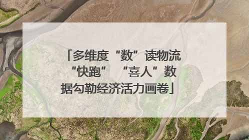 多维度“数”读物流“快跑” “喜人”数据勾勒经济活力画卷