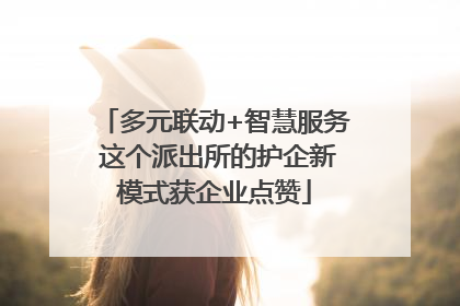 多元联动+智慧服务 这个派出所的护企新模式获企业点赞