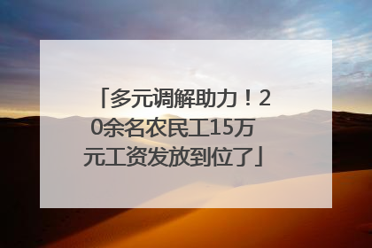 多元调解助力！20余名农民工15万元工资发放到位了