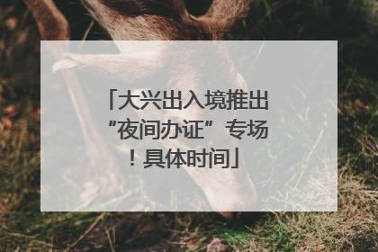 大兴出入境推出“夜间办证”专场！具体时间