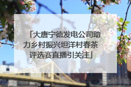 大唐宁德发电公司助力乡村振兴坦洋村春茶评选赛直播引关注