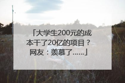 大学生200元的成本干了20亿的项目？网友：羡慕了……