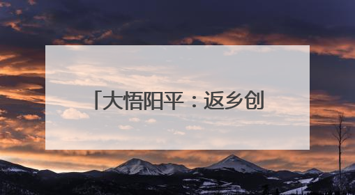 大悟阳平：返乡创办合作社，种出乡村振兴“金稻子”