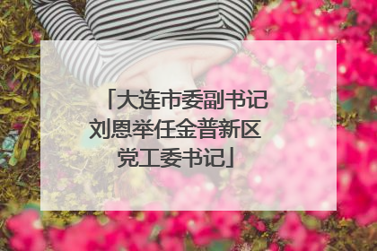大连市委副书记刘恩举任金普新区党工委书记