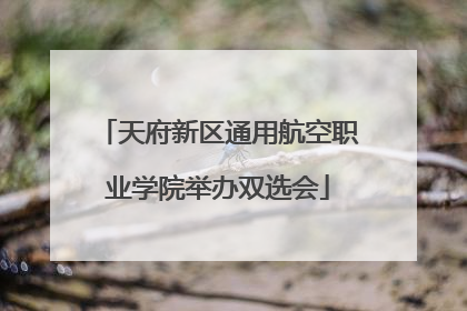 天府新区通用航空职业学院举办双选会