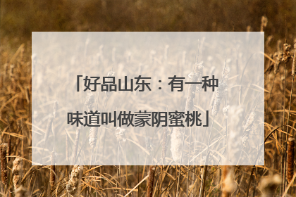 好品山东：有一种味道叫做蒙阴蜜桃