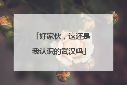 好家伙，这还是我认识的武汉吗