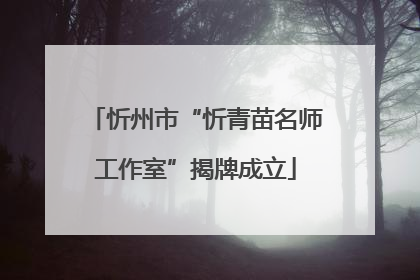 忻州市“忻青苗名师工作室”揭牌成立