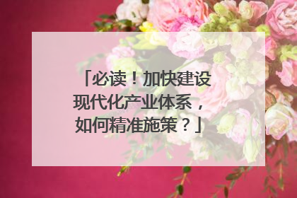 必读！加快建设现代化产业体系，如何精准施策？