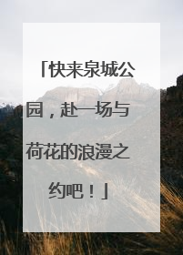 快来泉城公园，赴一场与荷花的浪漫之约吧！