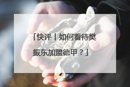 快评丨如何看待樊振东加盟德甲？