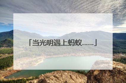 当光明遇上蚂蚁……