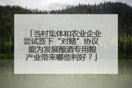 当村集体和农业企业尝试签下“对赌”协议 能为发展酿酒专用粮产业带来哪些利好？