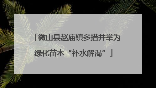 微山县赵庙镇多措并举为绿化苗木“补水解渴”