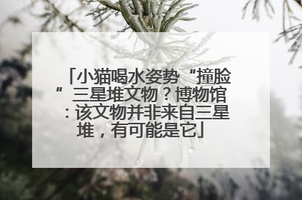 小猫喝水姿势“撞脸”三星堆文物？博物馆：该文物并非来自三星堆，有可能是它
