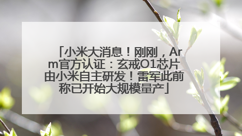 小米大消息！刚刚，Arm官方认证：玄戒O1芯片由小米自主研发！雷军此前称已开始大规模量产