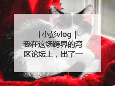 小彭vlog｜我在这场跨界的湾区论坛上，出了一道高考题……