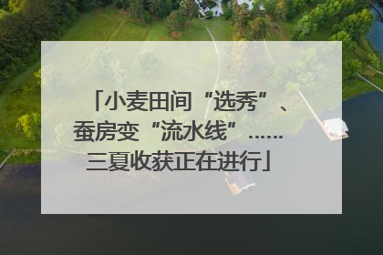 小麦田间“选秀”、蚕房变“流水线”……三夏收获正在进行