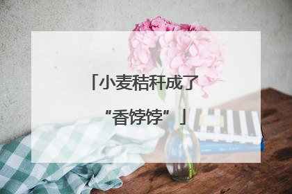 小麦秸秆成了“香饽饽”