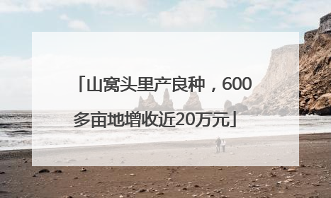 山窝头里产良种，600多亩地增收近20万元