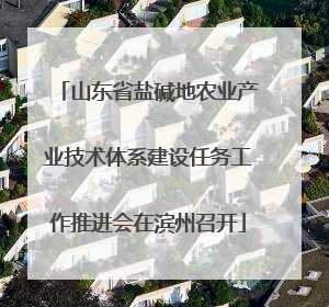 山东省盐碱地农业产业技术体系建设任务工作推进会在滨州召开
